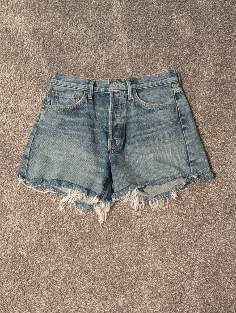 Agolde Parker Long Shorts